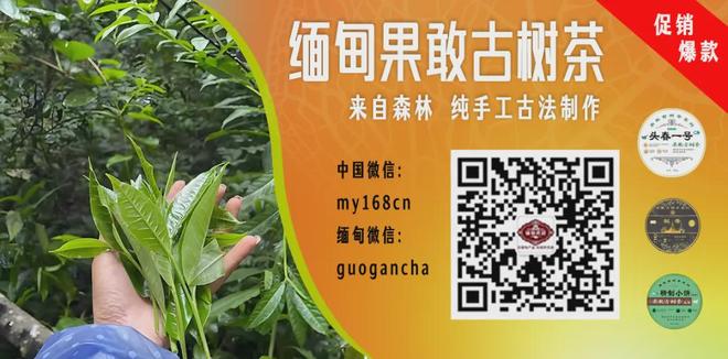 媒体人:两家CBA球队很接近签下奥拉迪波,但他最终放弃加盟