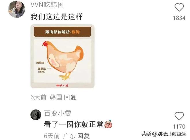 哈利伯顿时隔472天复出7+6！步行者力克森林狼 华子19分库明加9中1